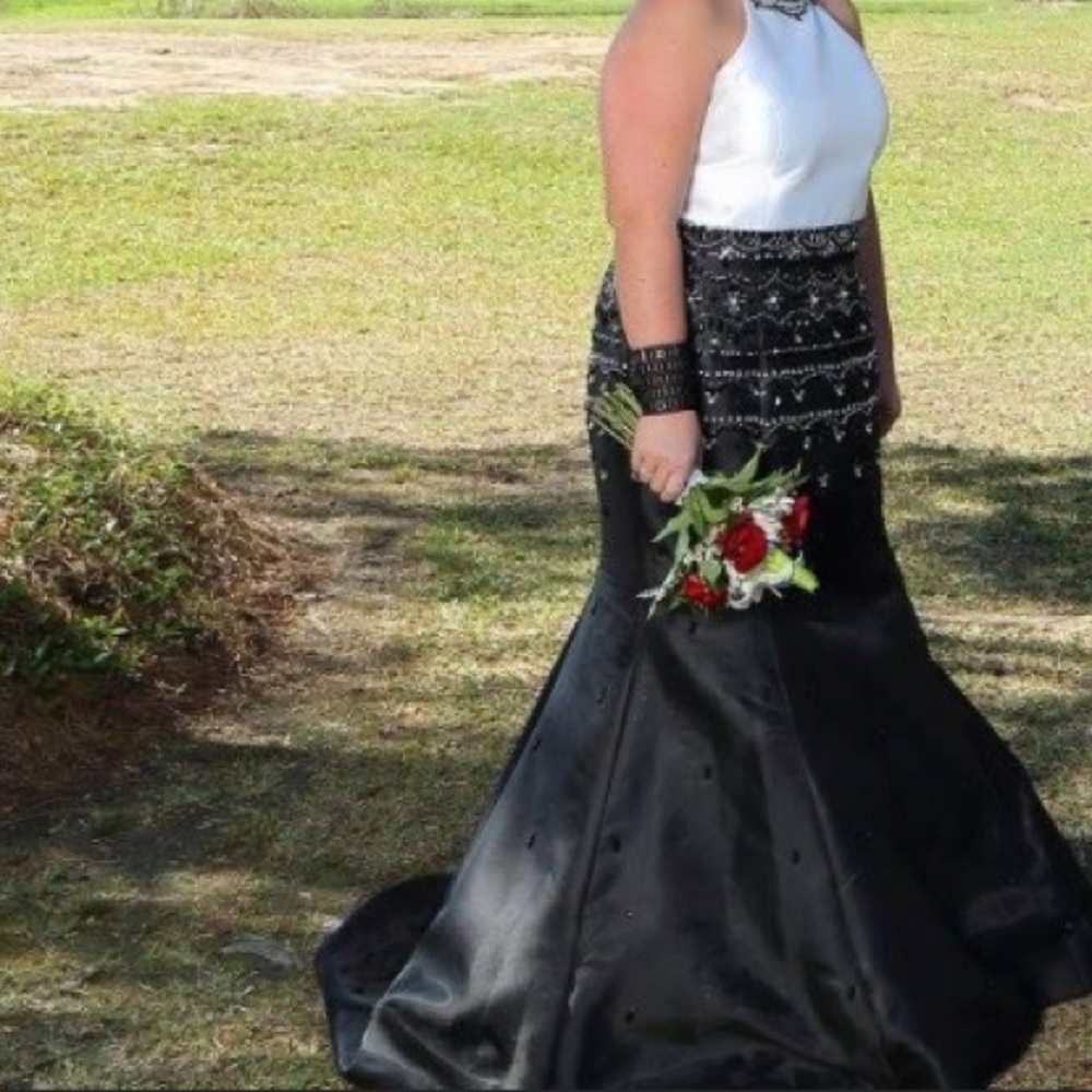 Rachel Allan Dress